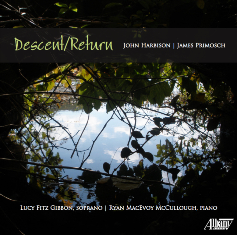 descent return cover